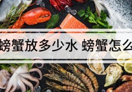 养螃蟹放多少水