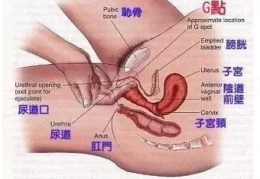 [美景裙拍照姿势女]啪啪时这三款”经典姿势“的精髓，你可能并没有掌握