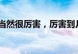 [元氏属于石家庄本地吗还是河北]河北的中学当然很厉害，厉害到几乎成了负面的典型了。