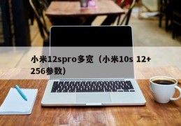 小米12spro多宽（小米10s 12+256参数）