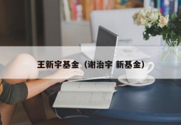 王新宇基金（谢治宇 新基金）