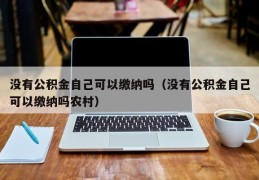 没有公积金自己可以缴纳吗（没有公积金自己可以缴纳吗农村）