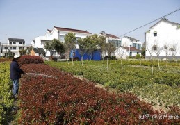 [农村一宅2户宅基地面积]农村宅基地一户多少平？超面积后能确权吗？2021年宅基地面积新规