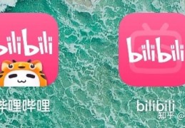 [比心app有海外板吗]哔哩哔哩国内版与海外版对比