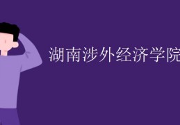 [长沙涉外经济学院几本]湖南涉外经济学院是几本？