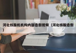 河北核酸机机构内部造假视频（河北核酸造假）