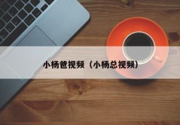 小杨爸视频（小杨总视频）