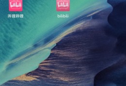 [比心app有海外板吗]B站竟然也有海外版，真的好用！