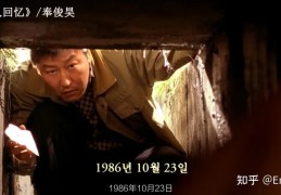 【电影推荐】九起连环凶杀案专门针对女性受害者改编的韩国影片《杀人回忆》