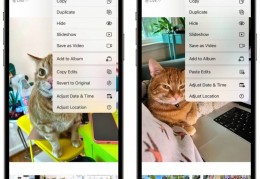 iOS16照片应用如何复制粘贴编辑的内容iOS16照片复制粘贴编辑内容方法