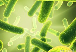 [哪个品牌的的益生菌好]2021益生菌哪个牌子好？