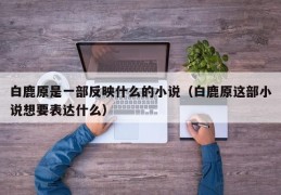 白鹿原是一部反映什么的小说（白鹿原这部小说想要表达什么）