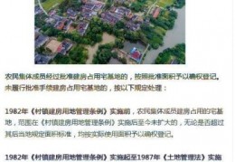 [农村一宅2户宅基地面积]农村宅基地超出规定面积的如何处理？4种处理方法，你选哪种？