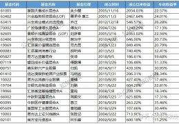 [未来投资哪个基金]最值得买的20个基金！