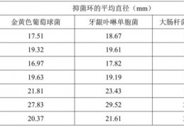 一种口腔喷雾的制作方法
