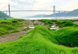 [重庆周边露营地点]2022重庆建川博物馆中秋节开放时间、入馆要求