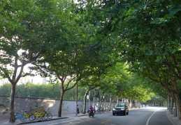 阅读者｜西藏南路之南