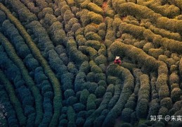 [仁怀哪里适合拍照的]杭州这几个地方，真是太适合拍照了！