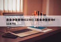 基金净值查询011503（基金净值查询011479）