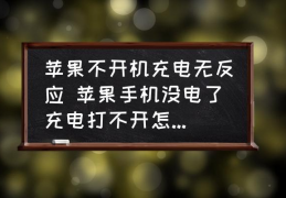 苹果不开机充电无反应-苹果手机没电了充电打不开怎么回事？