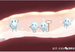 [益生菌添加量大于多少合适]服用益生菌的正确方法，你get到了吗？