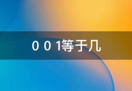 [0丶0丨是多少]0+0+1等于几