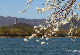 [早上二点适合钓鱼吗]什么时候钓鱼最好？按照两大规律选择钓鱼时间，两个鱼护勉强装下