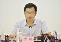 [强化专项监管整治工作]罗鹏：严厉整治，强化监管，确保创城专项行动出成效、见长效！