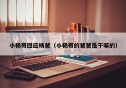 小杨哥回应杨爸（小杨哥的爸爸是干嘛的）